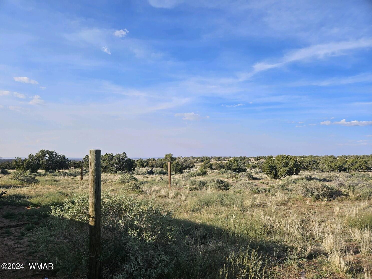 110 County Road Concho, AZ 85924 - Photo 10 of 21 a view of a field with lots of trees in background