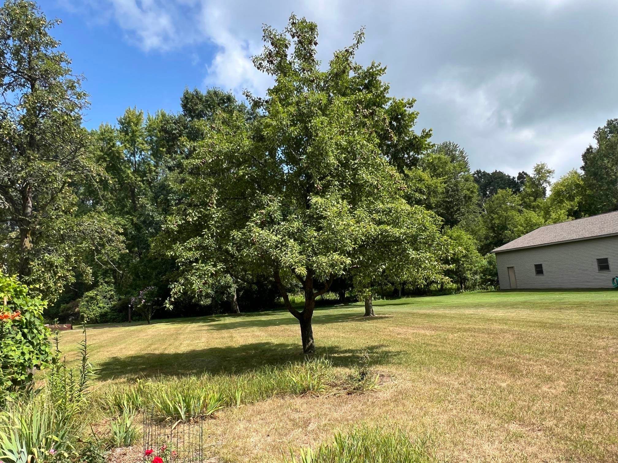 4782 West Lincoln Road Alma, MI 48801 - Photo 83 of 96 Gallery Image 83
