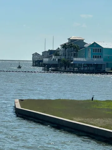 an aerial view of a swimming pool with a garden and plants