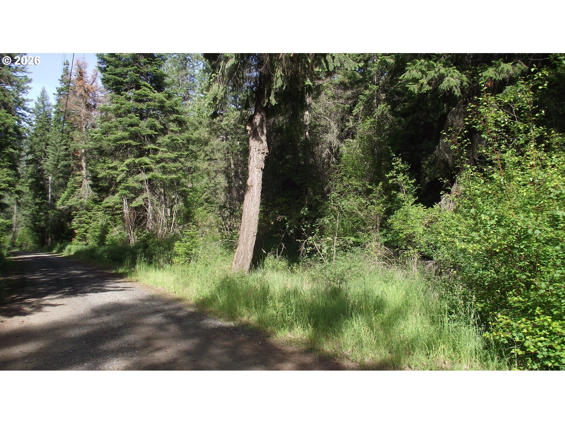 River Canyon Road Imnaha, OR 97842 - Photo 3 of 5