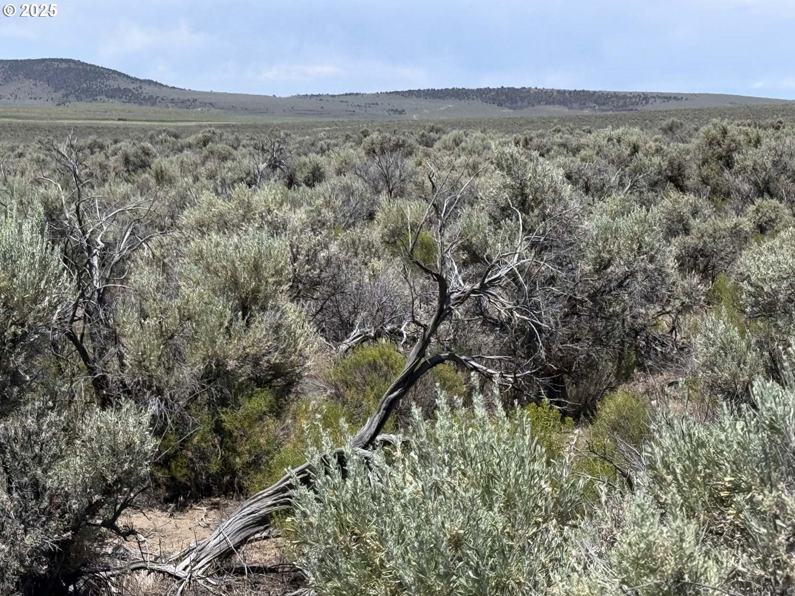Butte Valley Road, Unit 500 Christmas Valley, OR 97641 - Photo 2 of 42