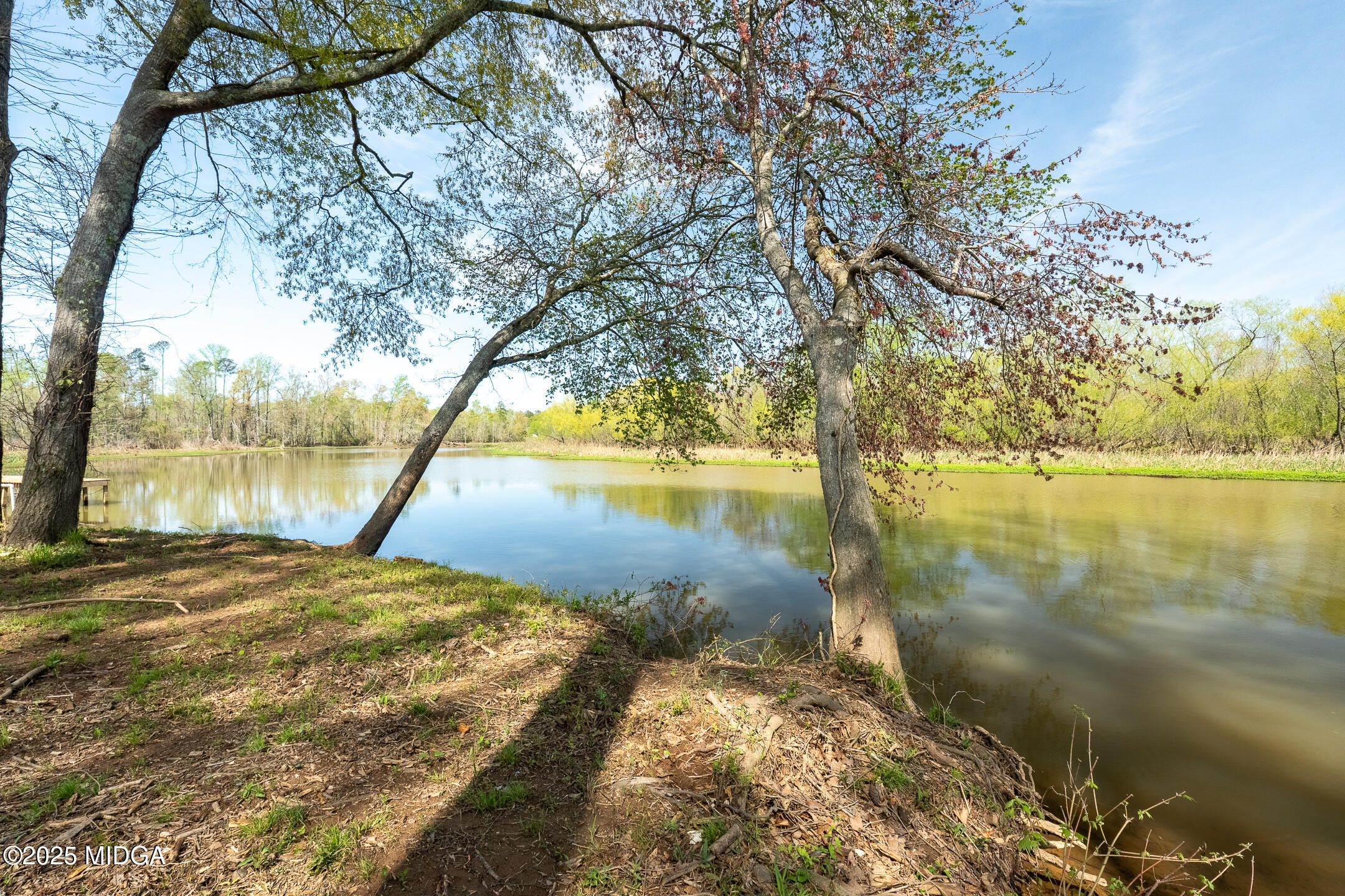 0 Henry Higgins Road Jackson, GA 30233 - Photo 1 of 12 DSC05588-HDR