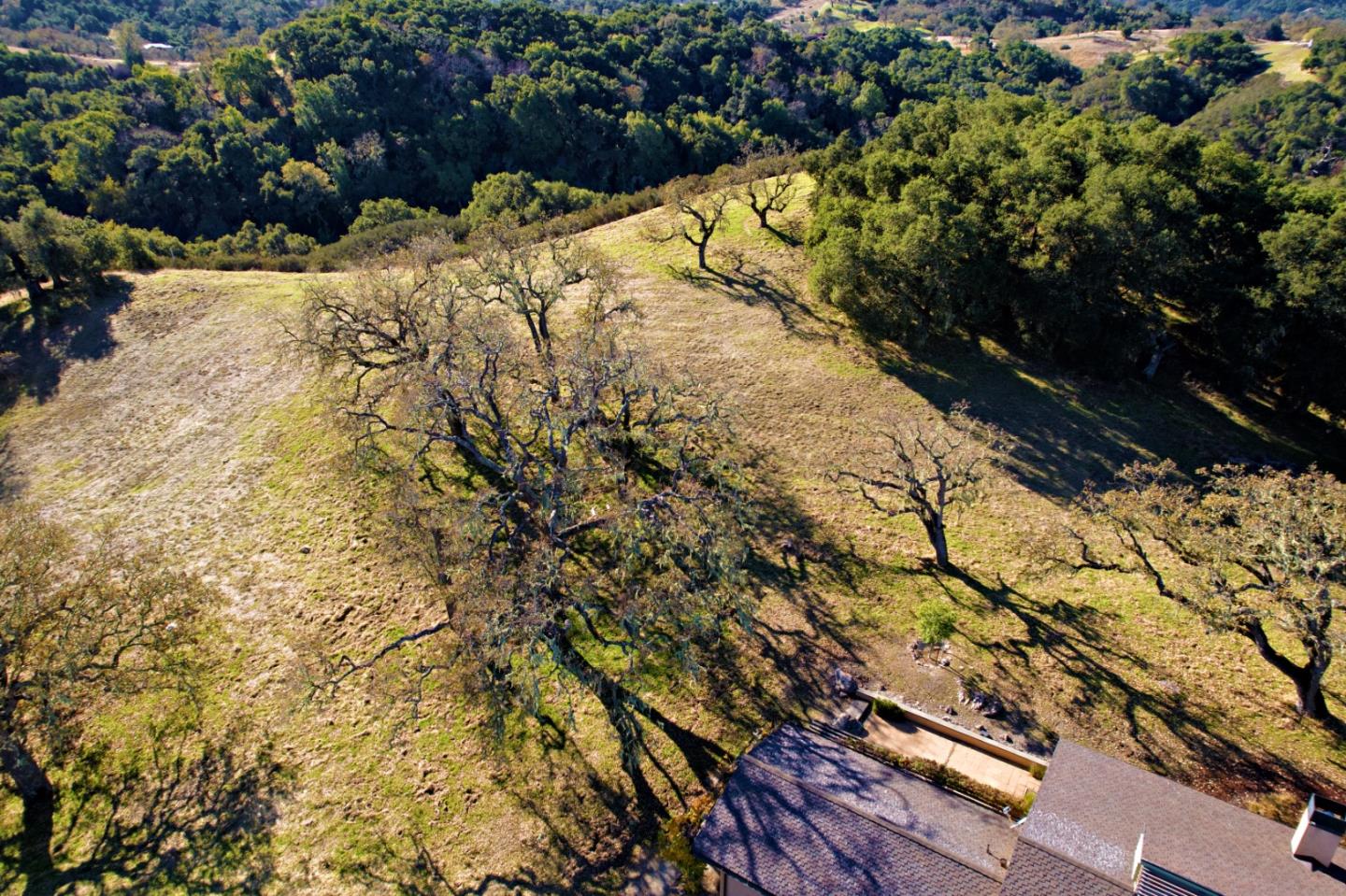 3 Refugio Trace Carmel, CA 93923 - Photo 26 of 29 a view of a yard with wooden fence