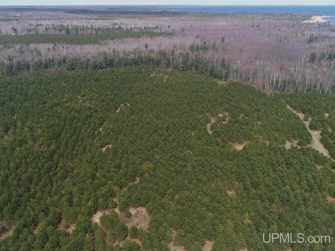 40-acres Gierke Road Manistique, MI 49854 - Photo 31 of 39