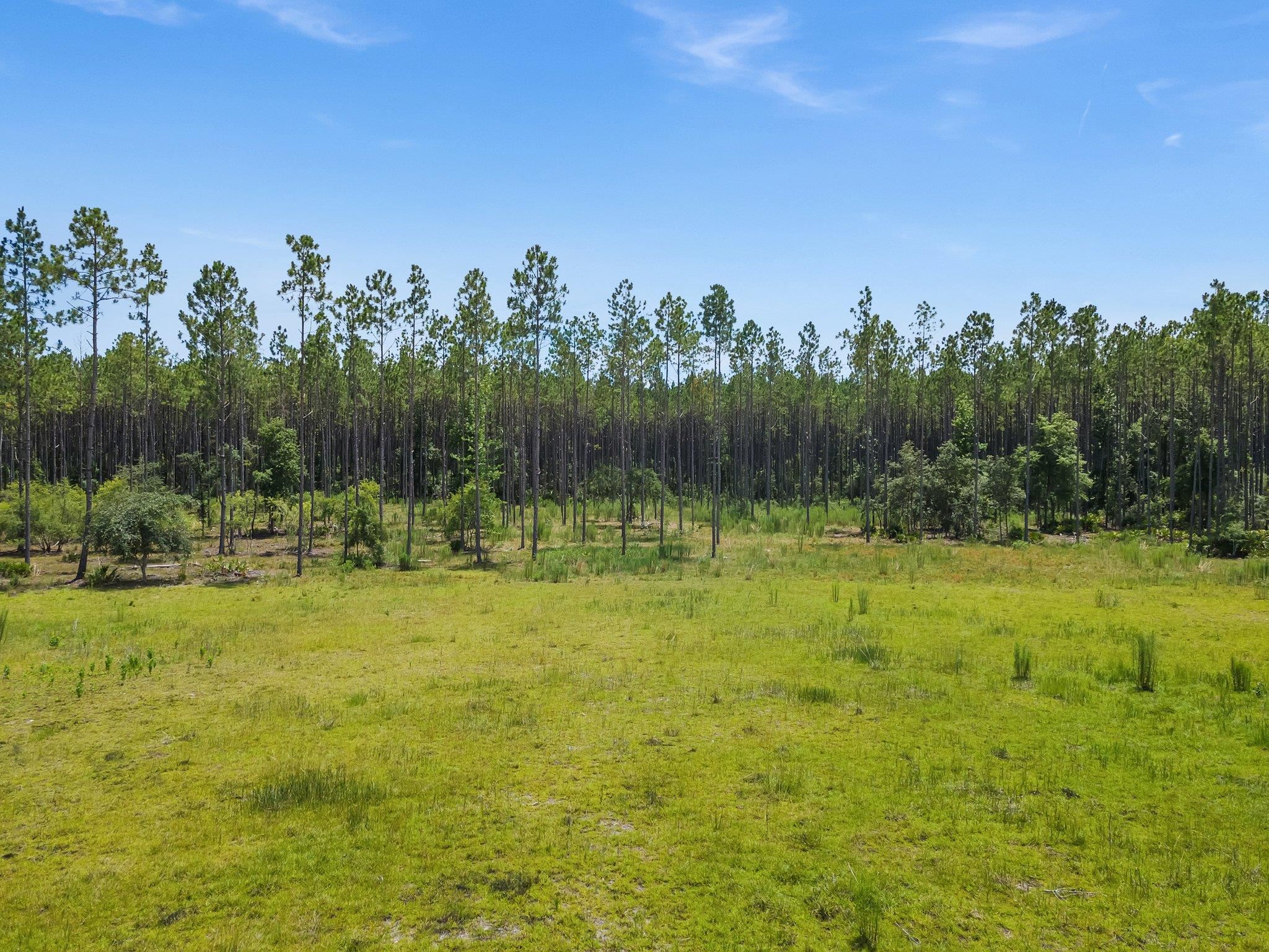6961 Ranch Club Road Tallahassee, FL 32305 - Photo 3 of 14