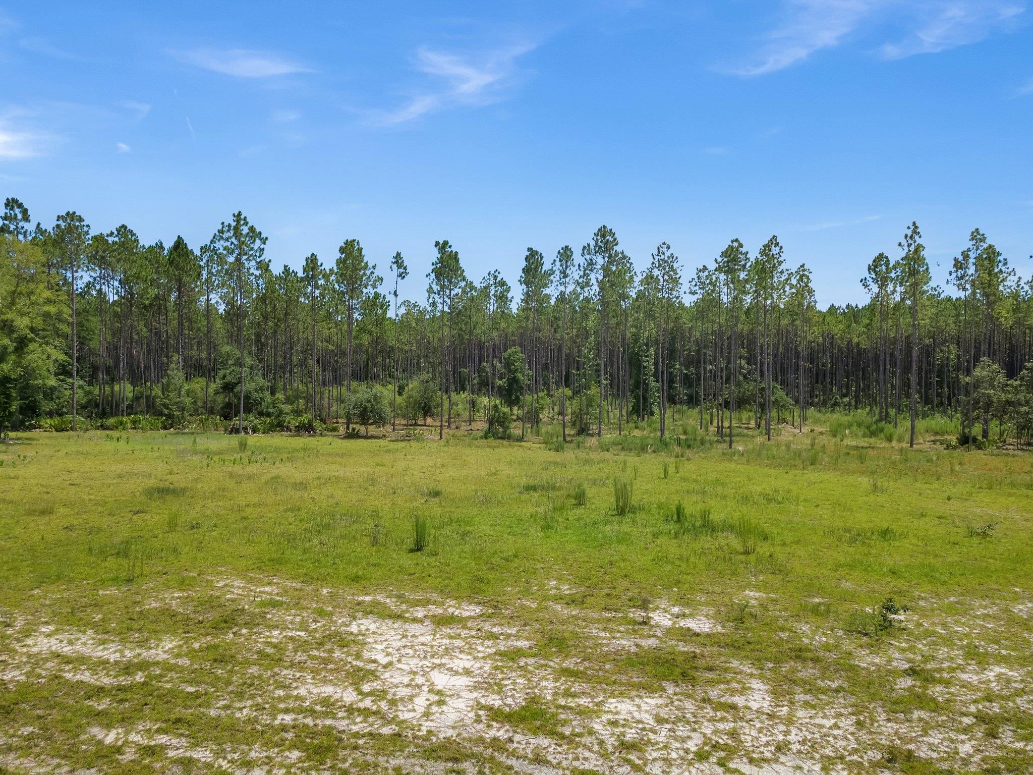 6961 Ranch Club Road Tallahassee, FL 32305 - Photo 4 of 14