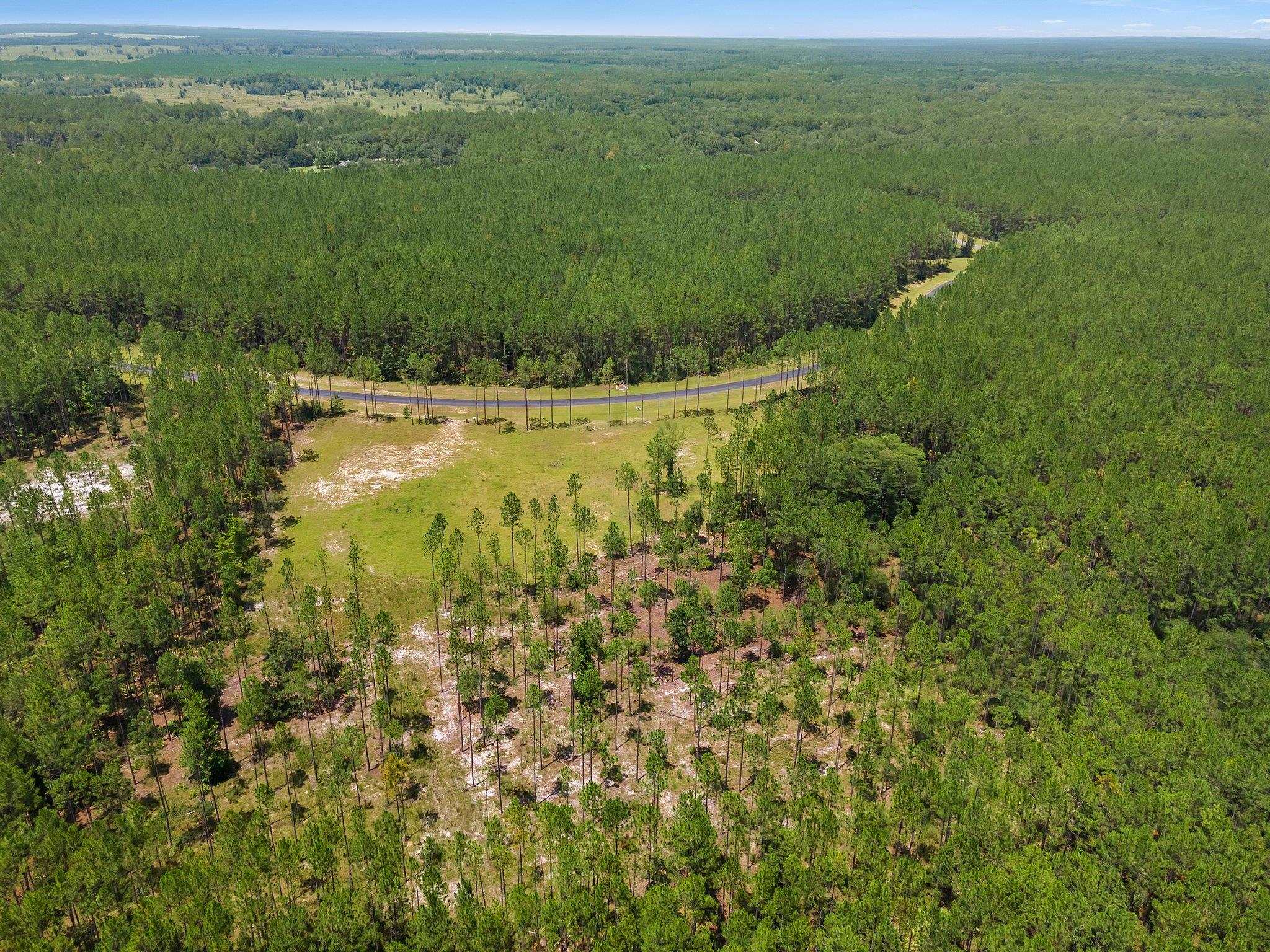 6961 Ranch Club Road Tallahassee, FL 32305 - Photo 5 of 14