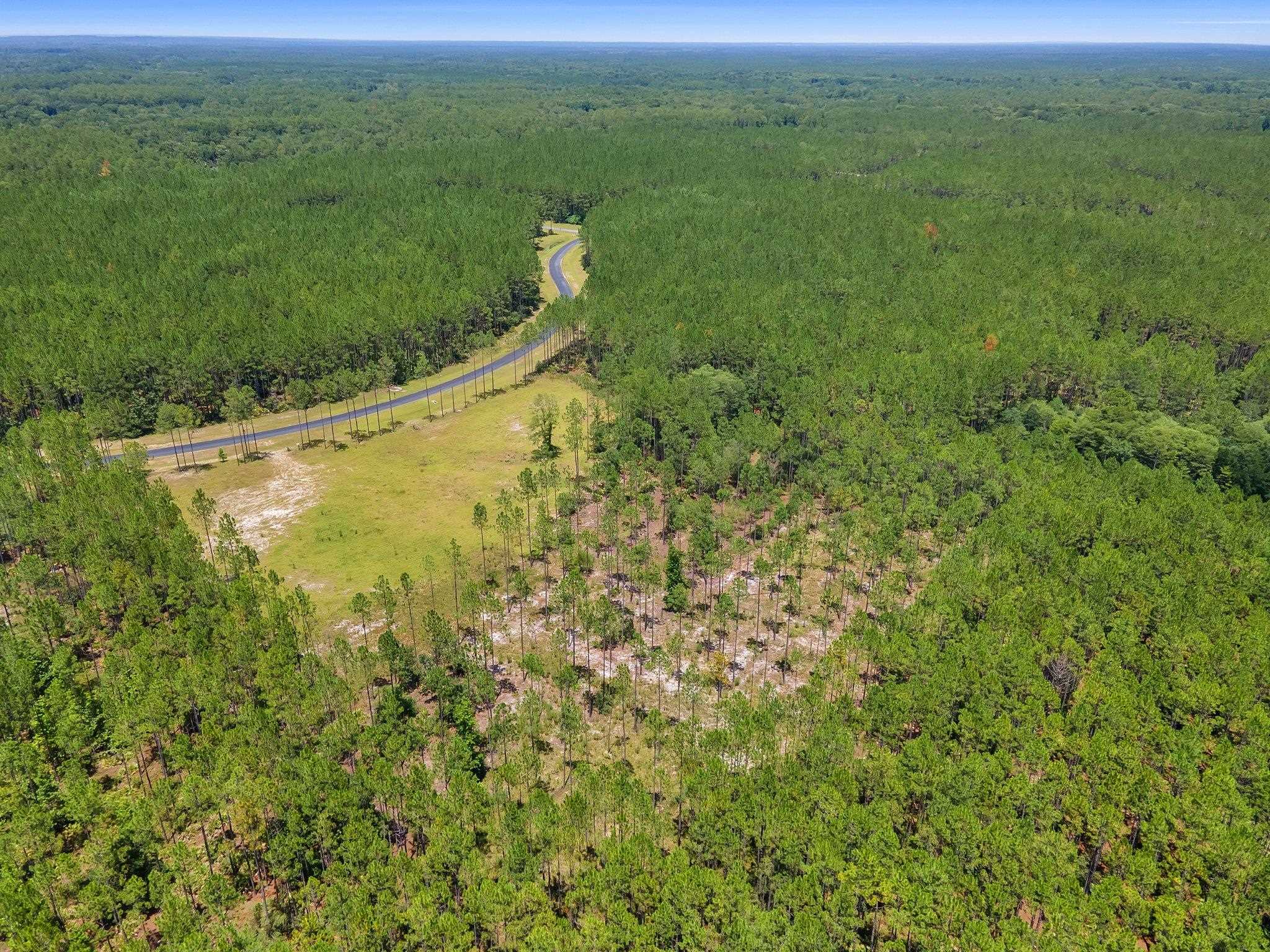 6961 Ranch Club Road Tallahassee, FL 32305 - Photo 6 of 14