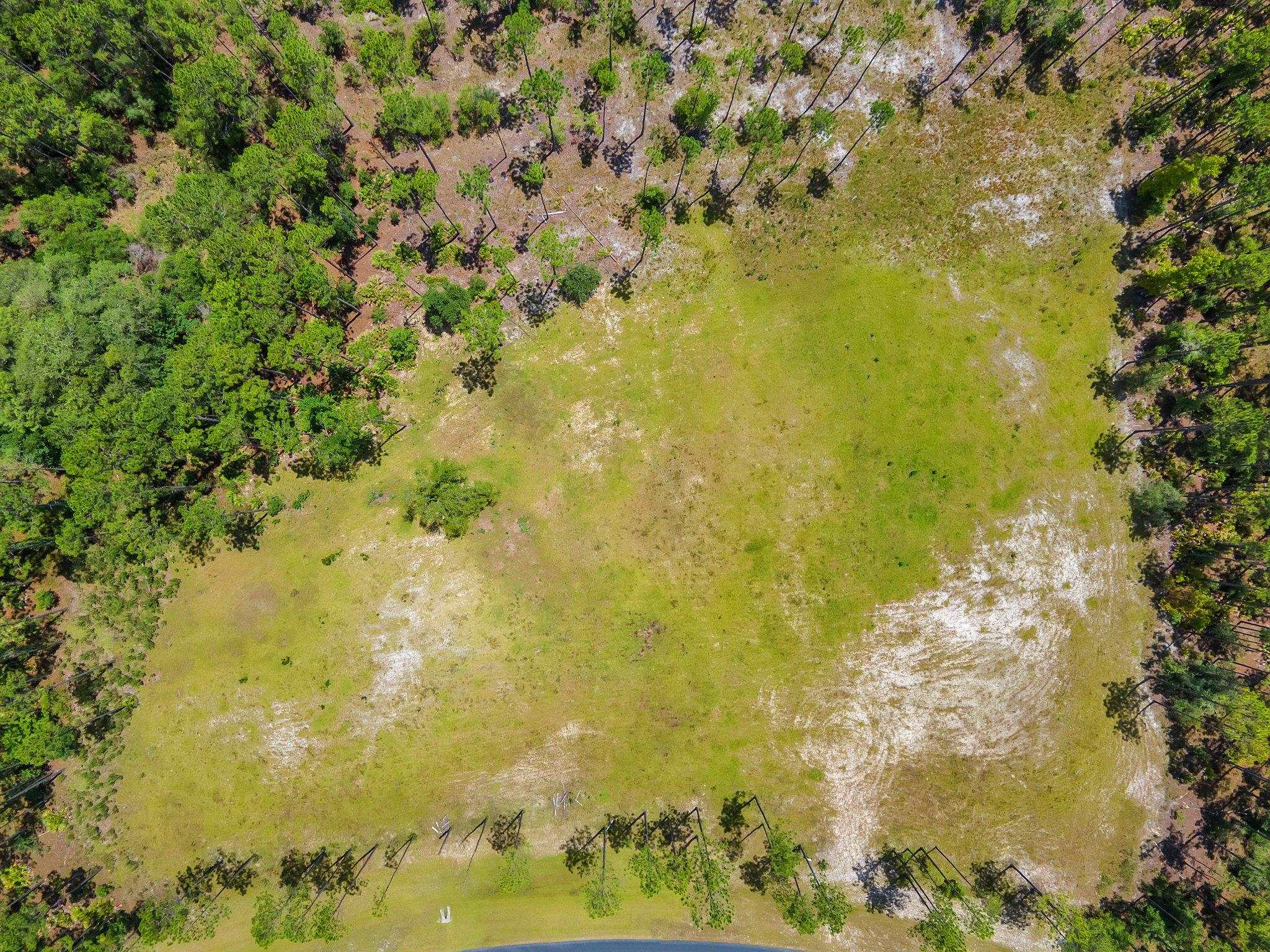 6961 Ranch Club Road Tallahassee, FL 32305 - Photo 7 of 14