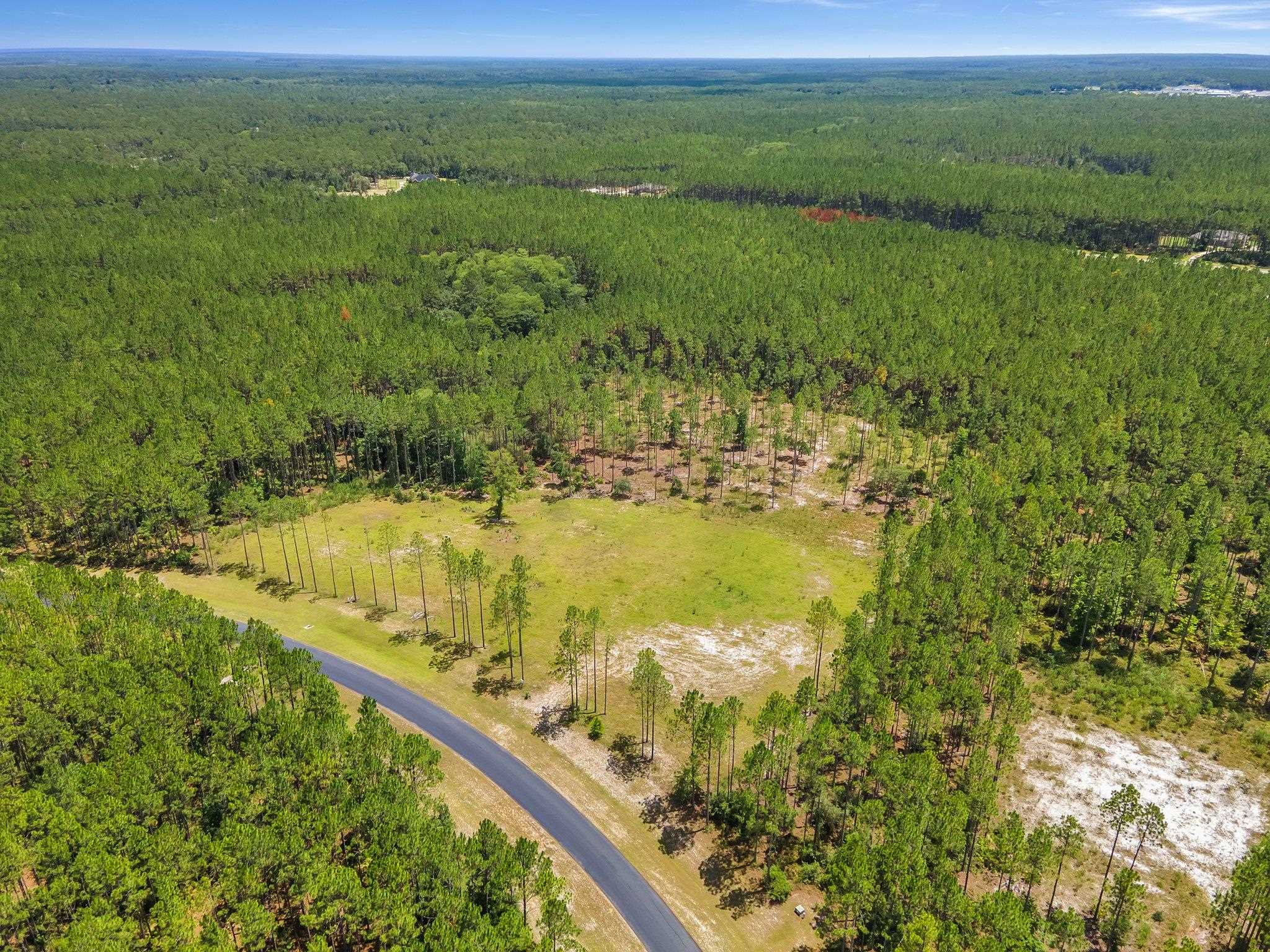 6961 Ranch Club Road Tallahassee, FL 32305 - Photo 8 of 14