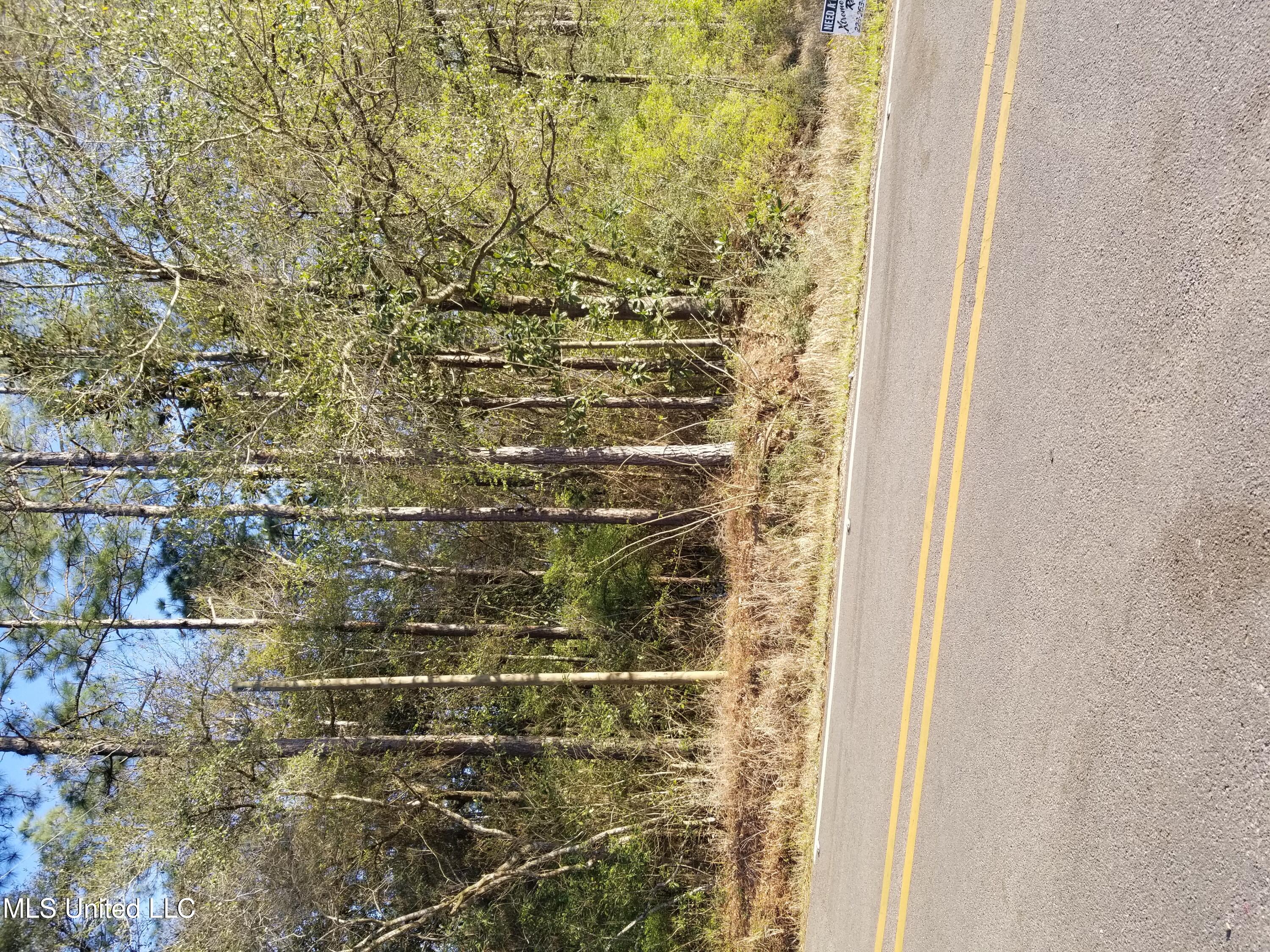 C Byrd Road Ocean Springs, MS 39564 - Photo 1 of 1 C BYRD RD VIEW