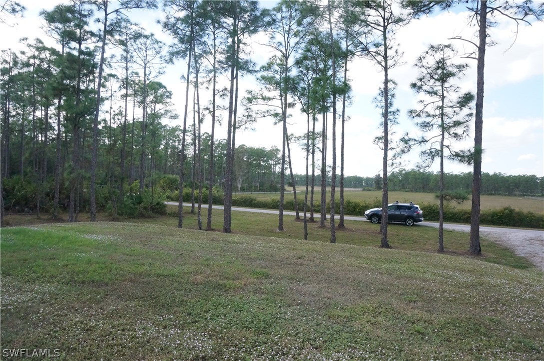 17520 Corkscrew Road Estero, FL 33928 - Photo 20 of 25 Gallery Image 20