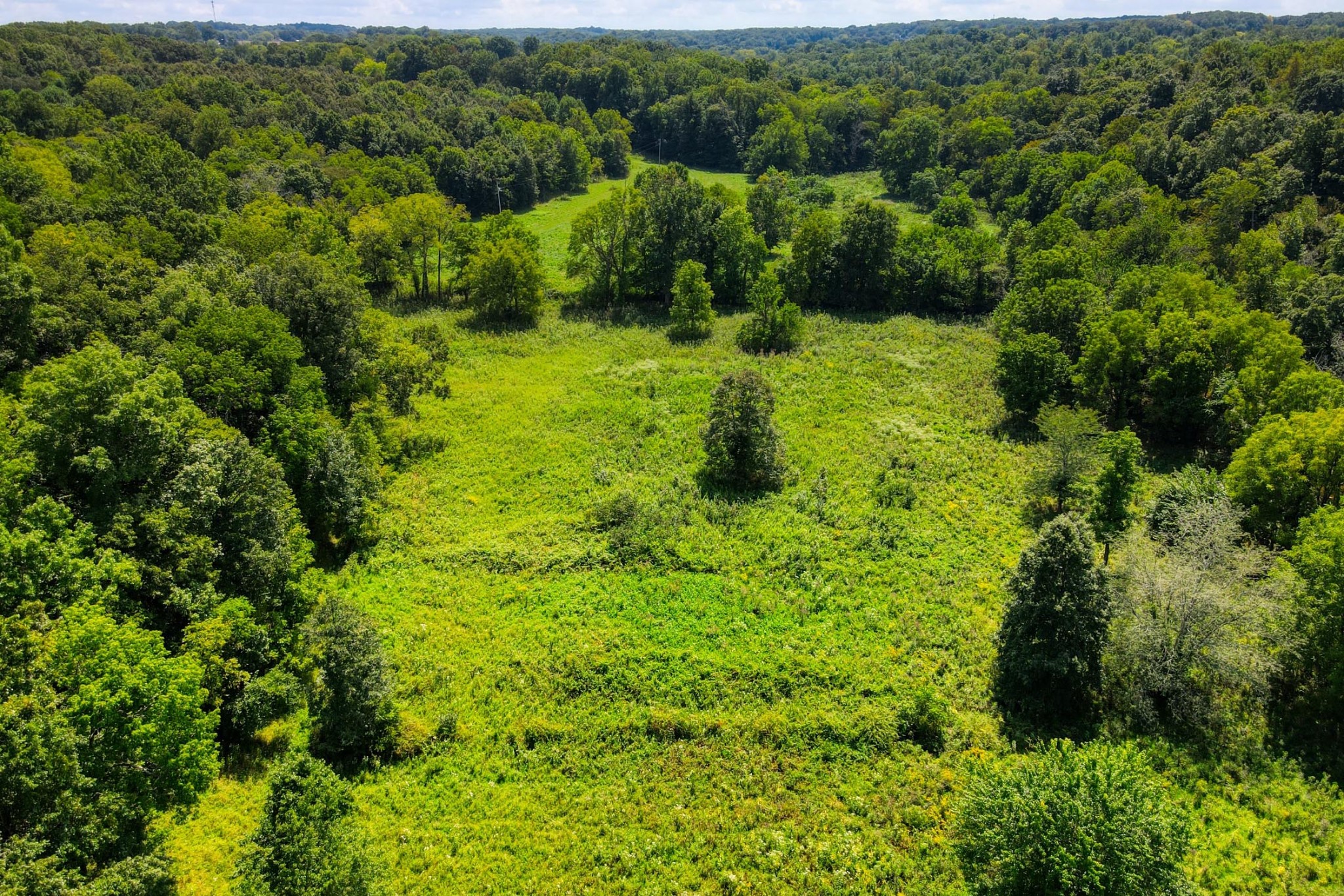 0 Empson Road White House, TN 37188 - Photo 8 of 41 Gallery Image 8