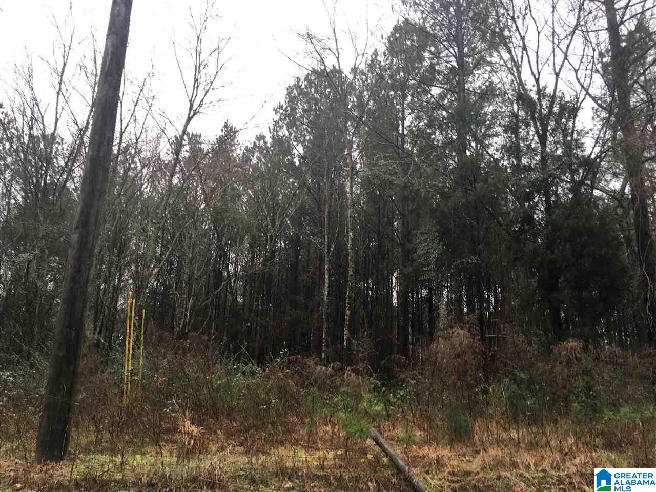 1205 Eureka Road, Unit 3 Lincoln, AL 35096 - Photo 18 of 31