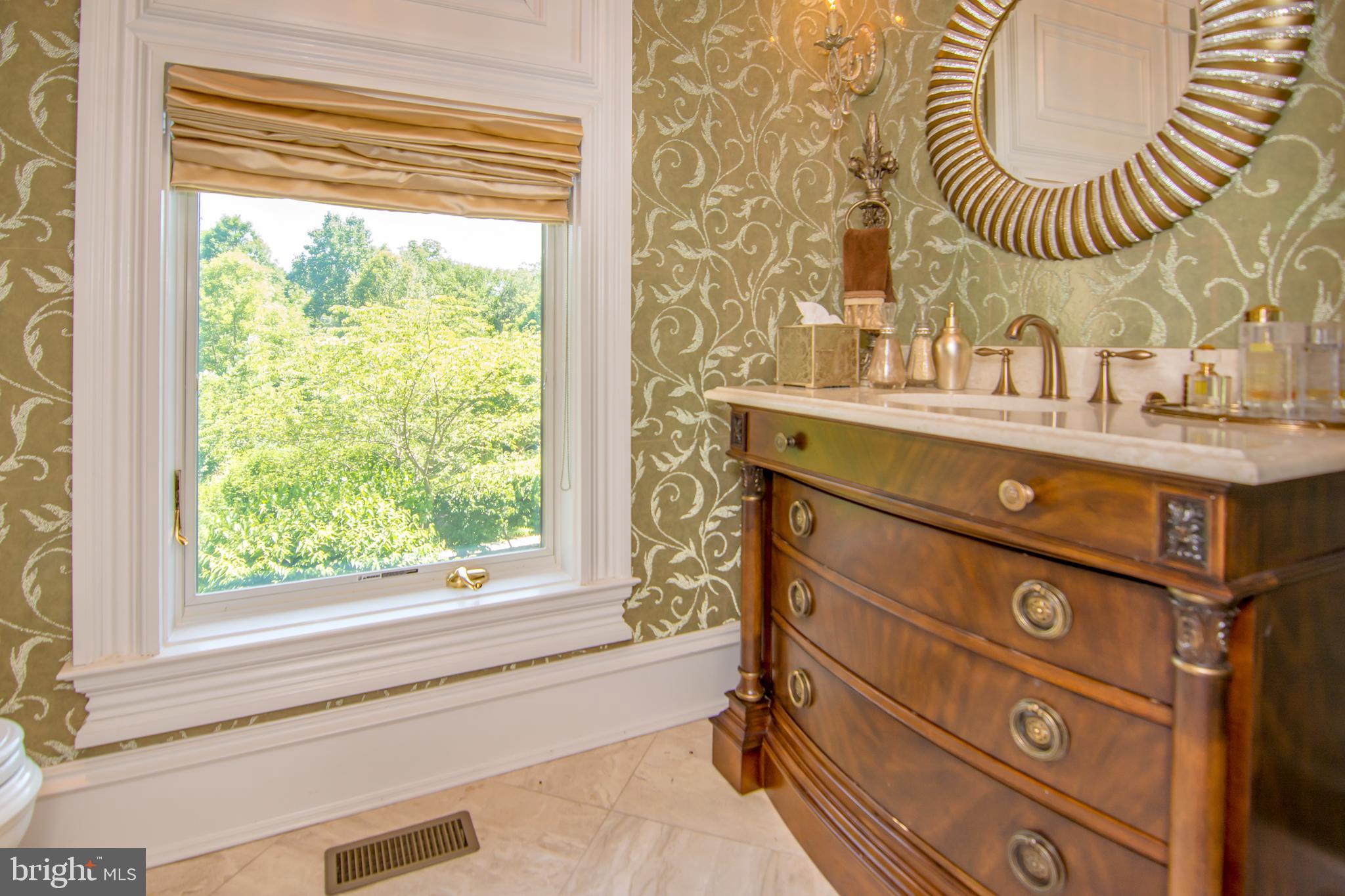529 Springvale Road Great Falls, VA 22066 - Photo 17 of 90 Main level powder room