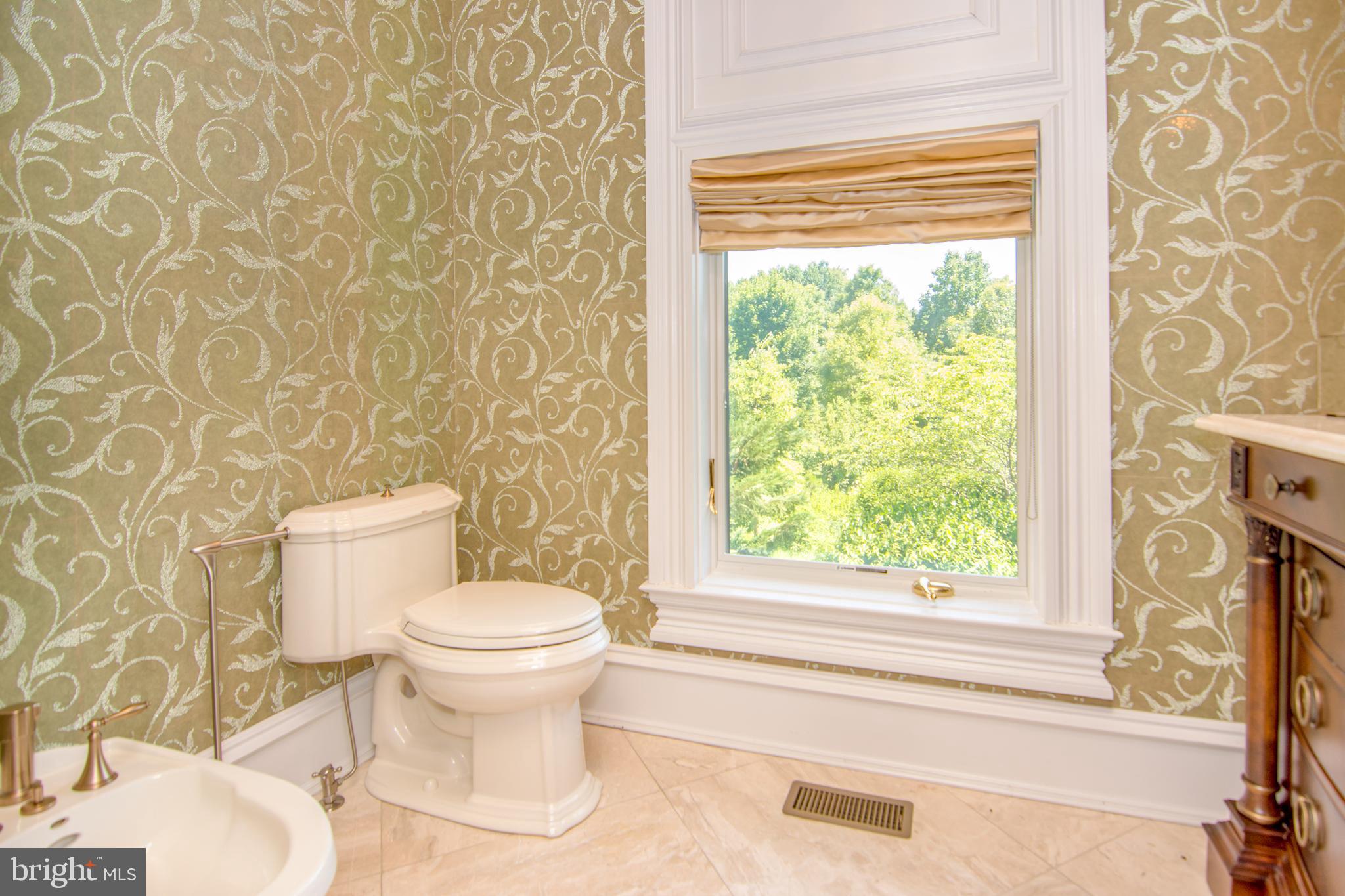 529 Springvale Road Great Falls, VA 22066 - Photo 18 of 90 Powder room