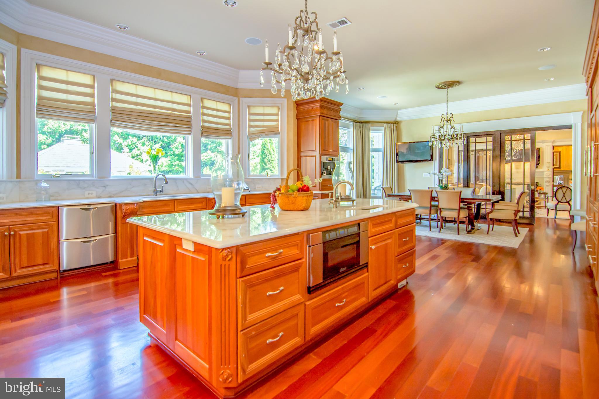 529 Springvale Road Great Falls, VA 22066 - Photo 24 of 90 Gallery Image 24