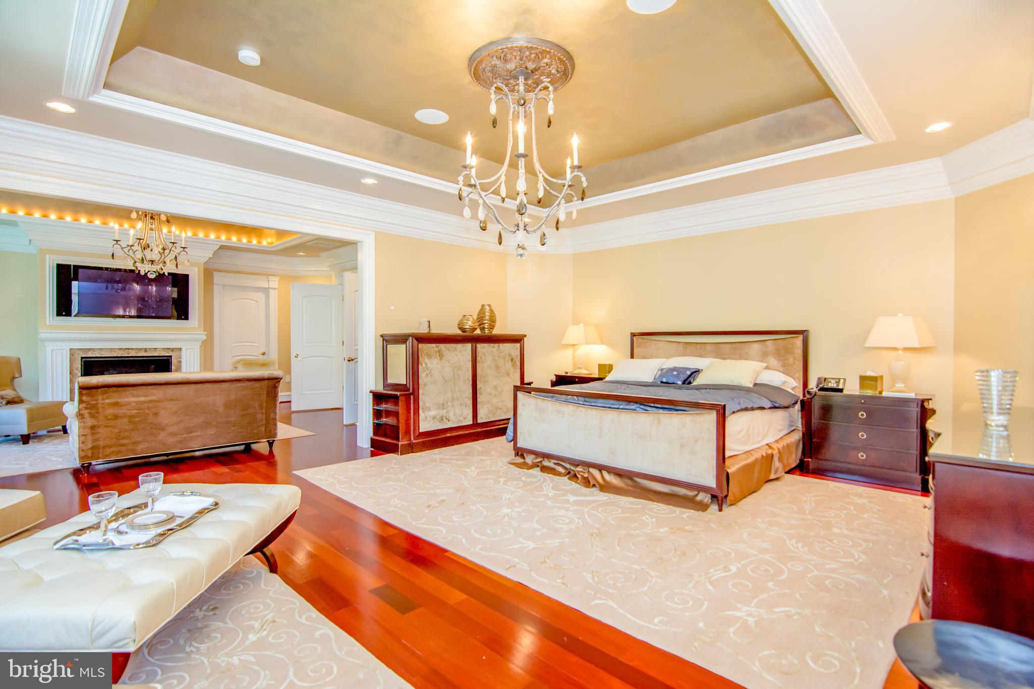 529 Springvale Road Great Falls, VA 22066 - Photo 42 of 90 Gallery Image 42