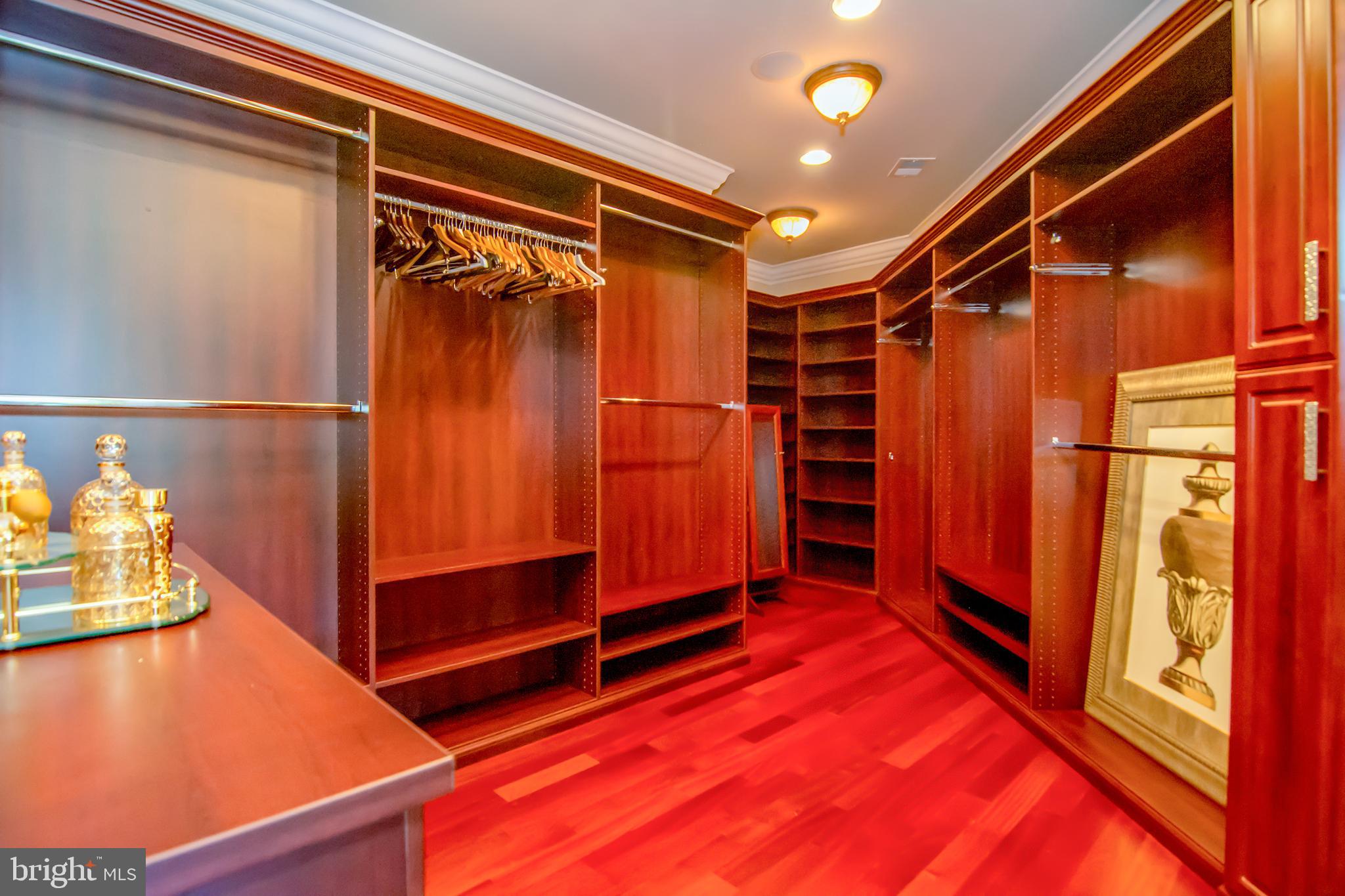 529 Springvale Road Great Falls, VA 22066 - Photo 43 of 90 One of the master closets