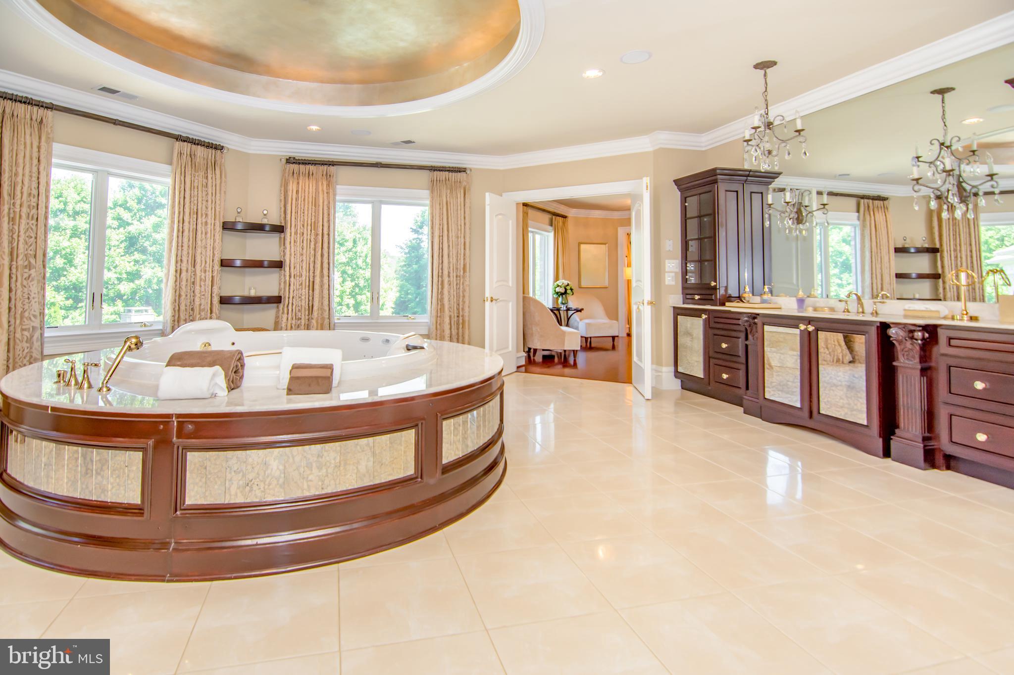 529 Springvale Road Great Falls, VA 22066 - Photo 44 of 90 Master bathroom