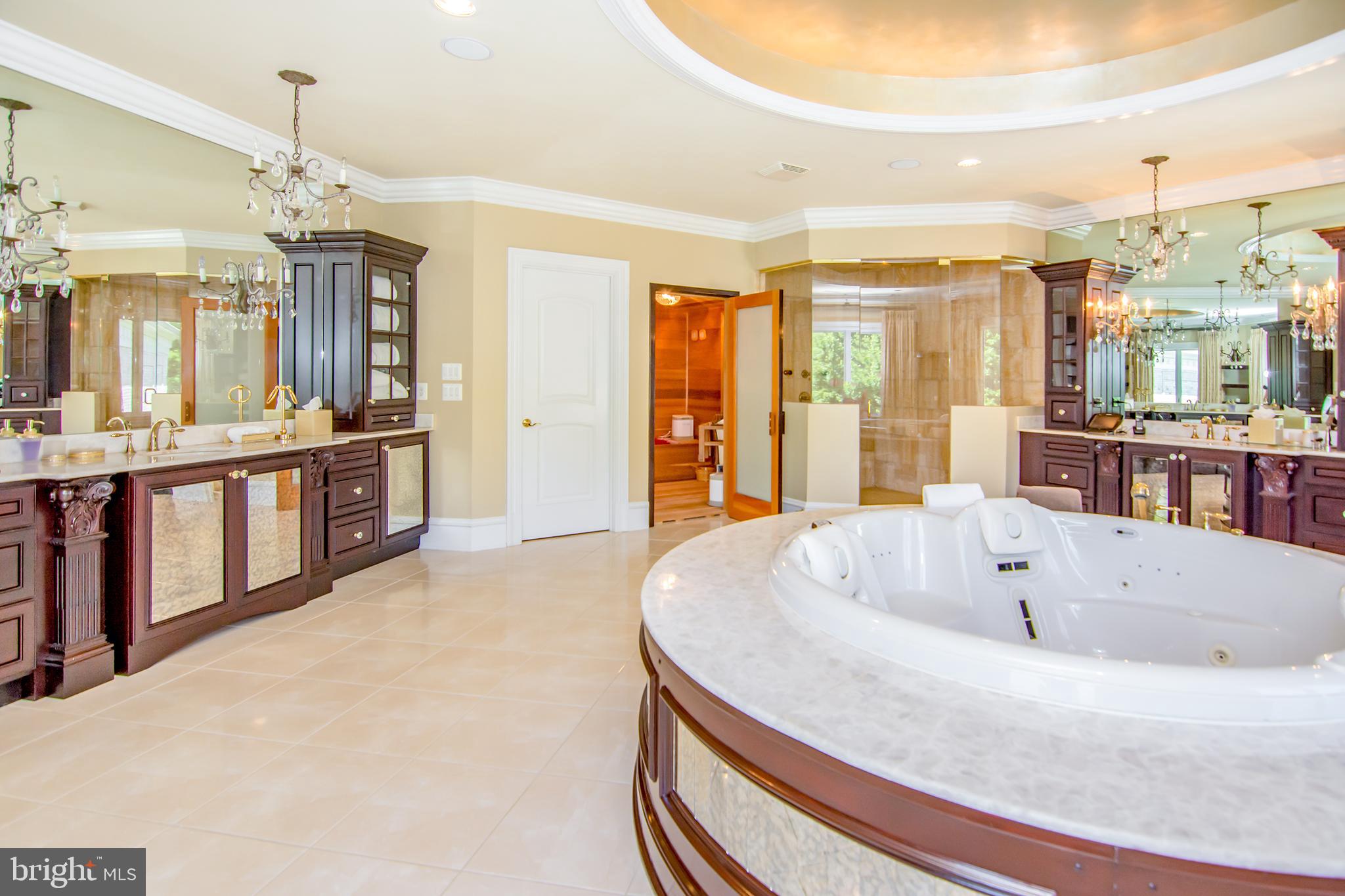 529 Springvale Road Great Falls, VA 22066 - Photo 45 of 90 Master bathroom