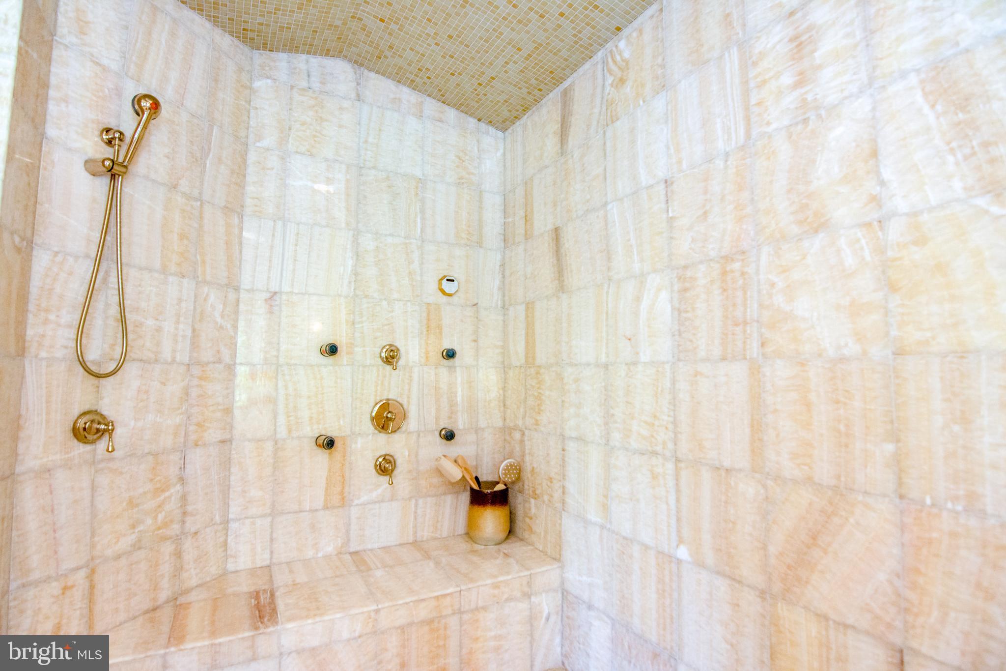 529 Springvale Road Great Falls, VA 22066 - Photo 46 of 90 Master shower