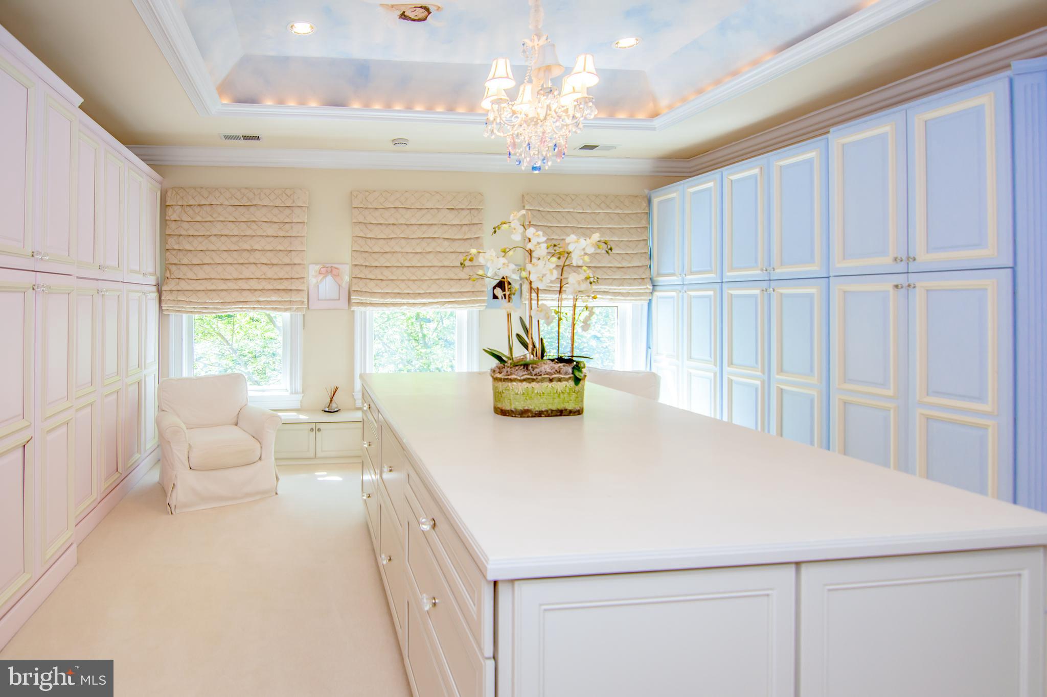 529 Springvale Road Great Falls, VA 22066 - Photo 57 of 90 Gallery Image 57