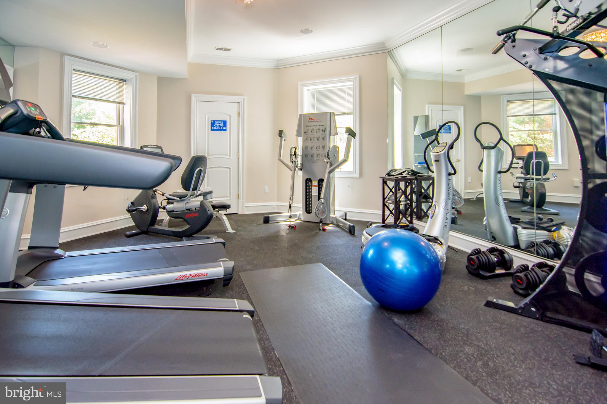 529 Springvale Road Great Falls, VA 22066 - Photo 67 of 90 Basement exercise room