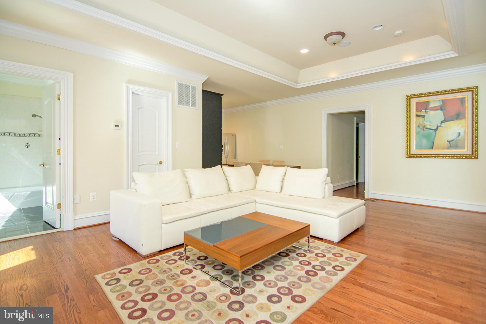 529 Springvale Road Great Falls, VA 22066 - Photo 82 of 90 Gallery Image 82