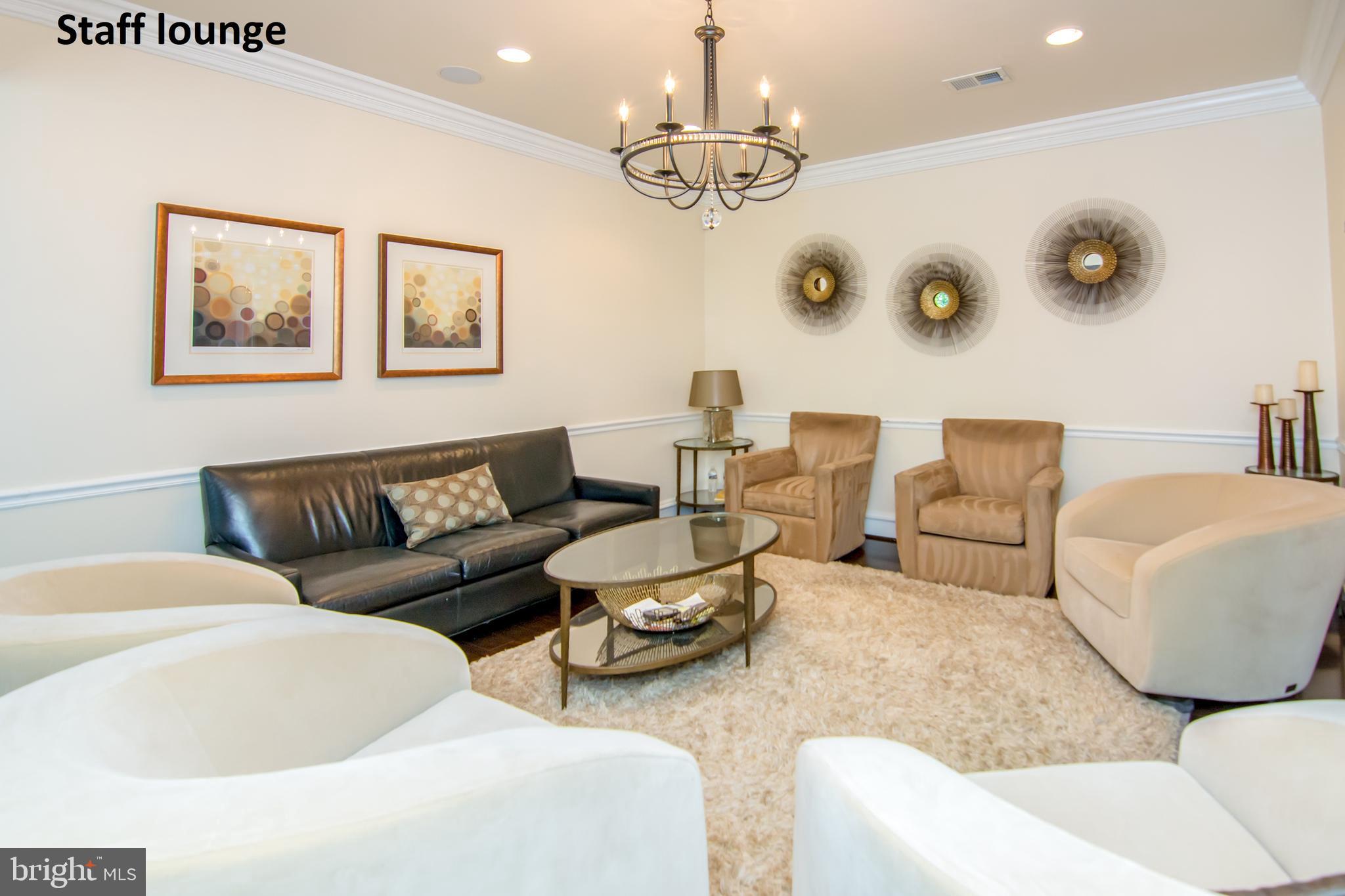 529 Springvale Road Great Falls, VA 22066 - Photo 86 of 90 Gallery Image 86