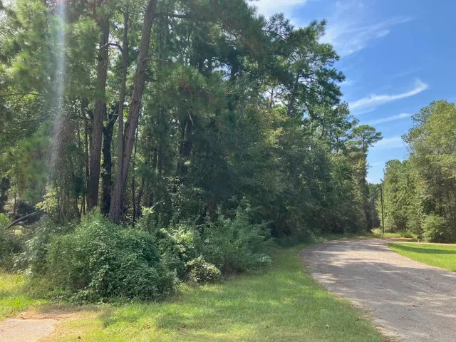 $16,000 | Tbd Mule Deer Trail, Onalaska, TX 77360