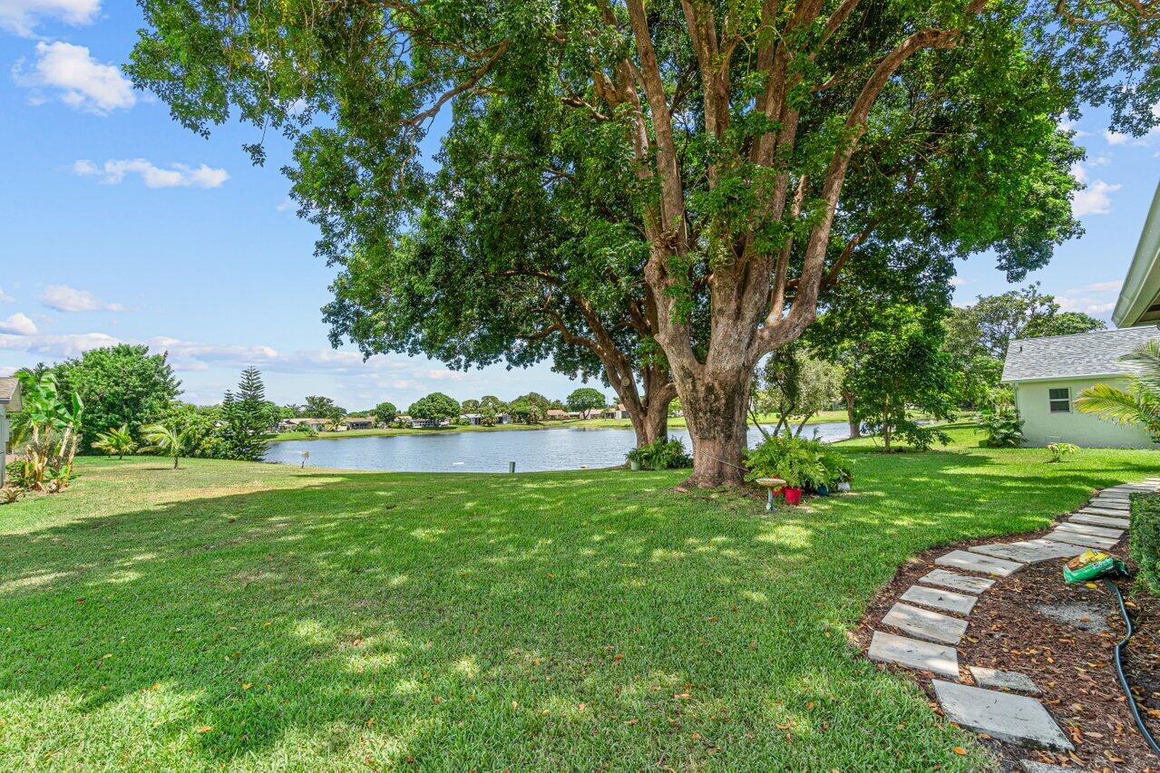 6347 Timberlakes Way Delray Beach, FL 33484 - Photo 31 of 49 Both trees are on this property
