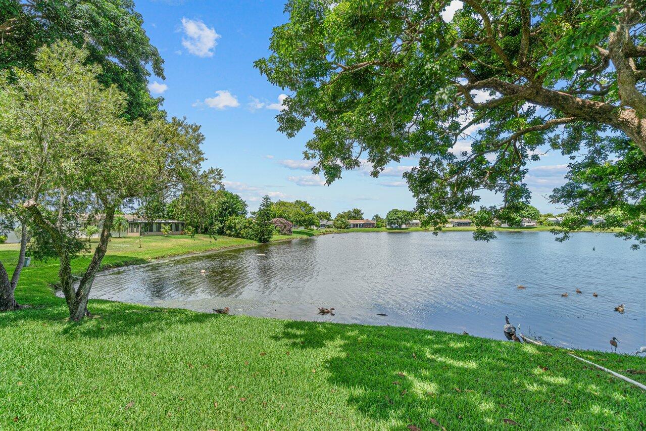 6347 Timberlakes Way Delray Beach, FL 33484 - Photo 34 of 49 Lake in back of Home