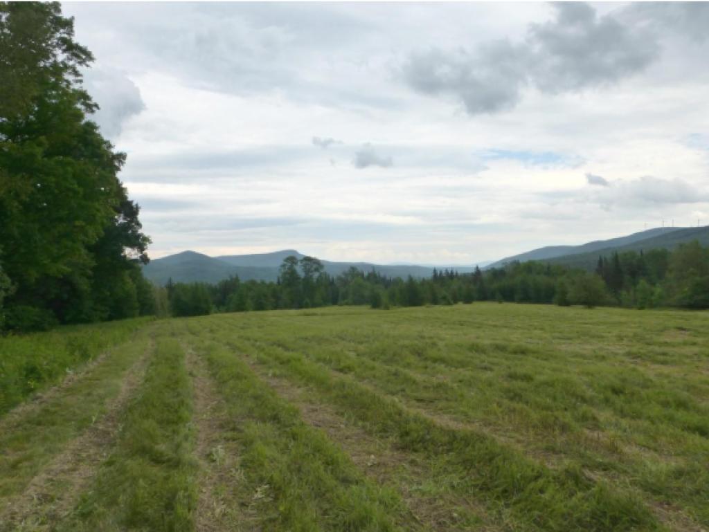 2949 Duck Pond Road Barton, VT 05822 - Photo 1 of 12