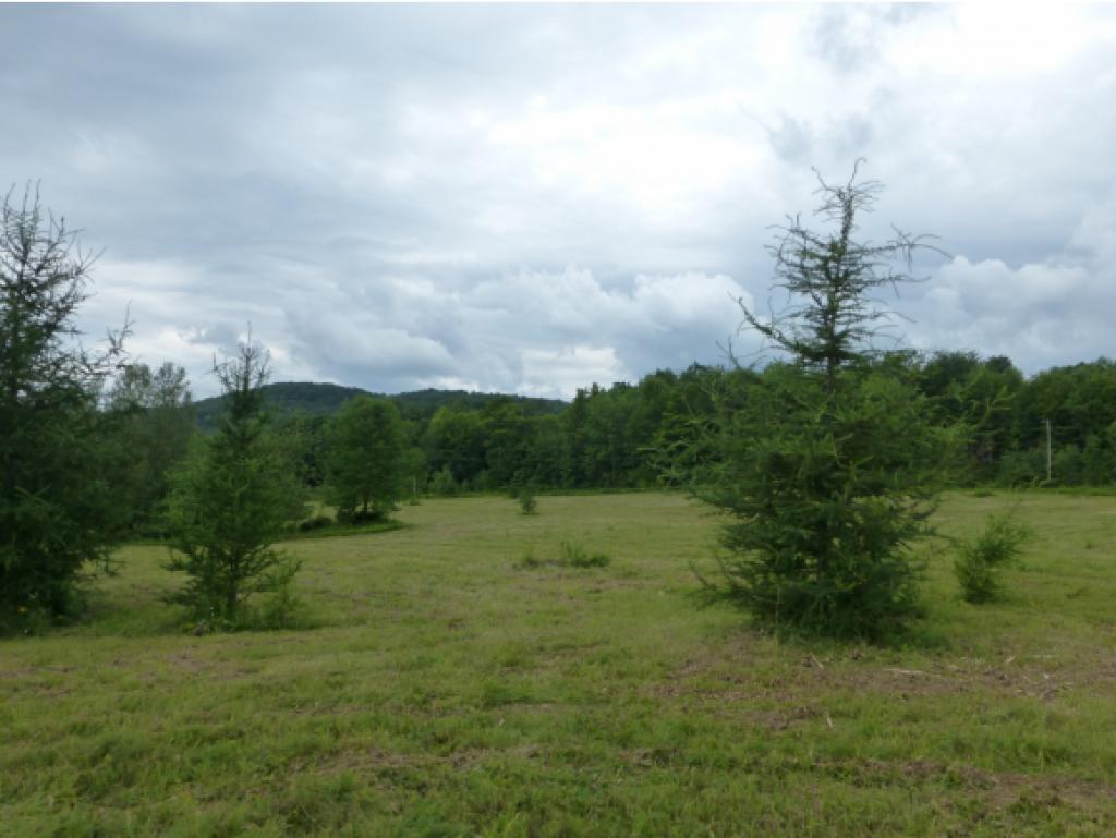 2949 Duck Pond Road Barton, VT 05822 - Photo 2 of 12