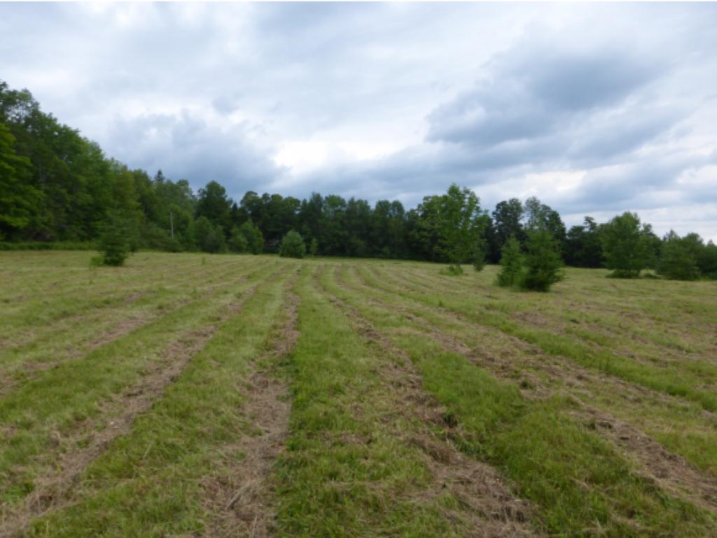 2949 Duck Pond Road Barton, VT 05822 - Photo 12 of 12