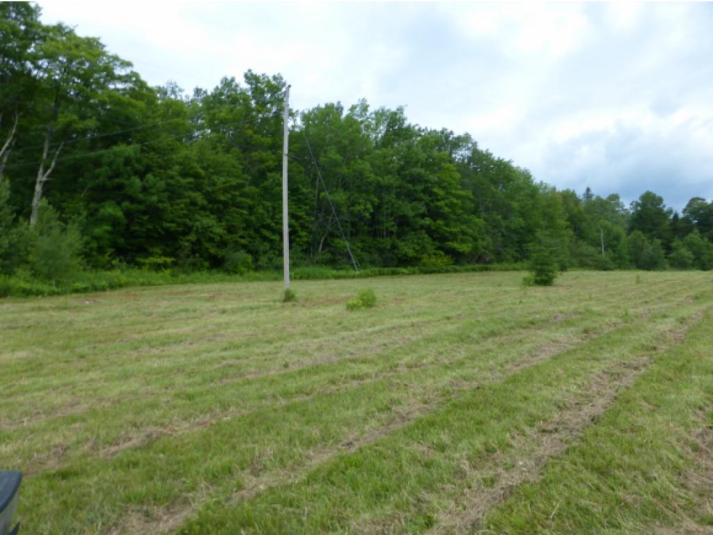2949 Duck Pond Road Barton, VT 05822 - Photo 3 of 12