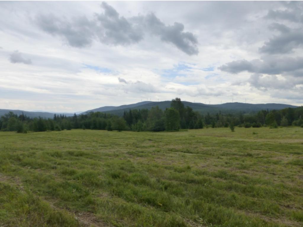 2949 Duck Pond Road Barton, VT 05822 - Photo 4 of 12