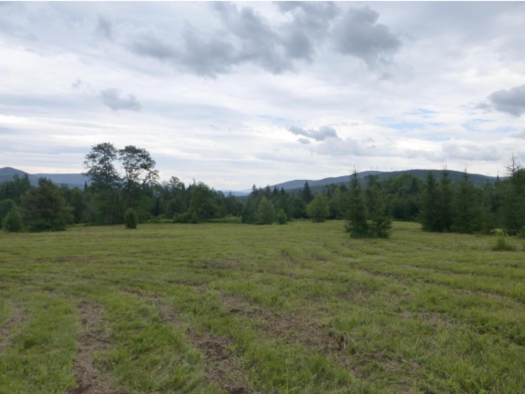 2949 Duck Pond Road Barton, VT 05822 - Photo 5 of 12