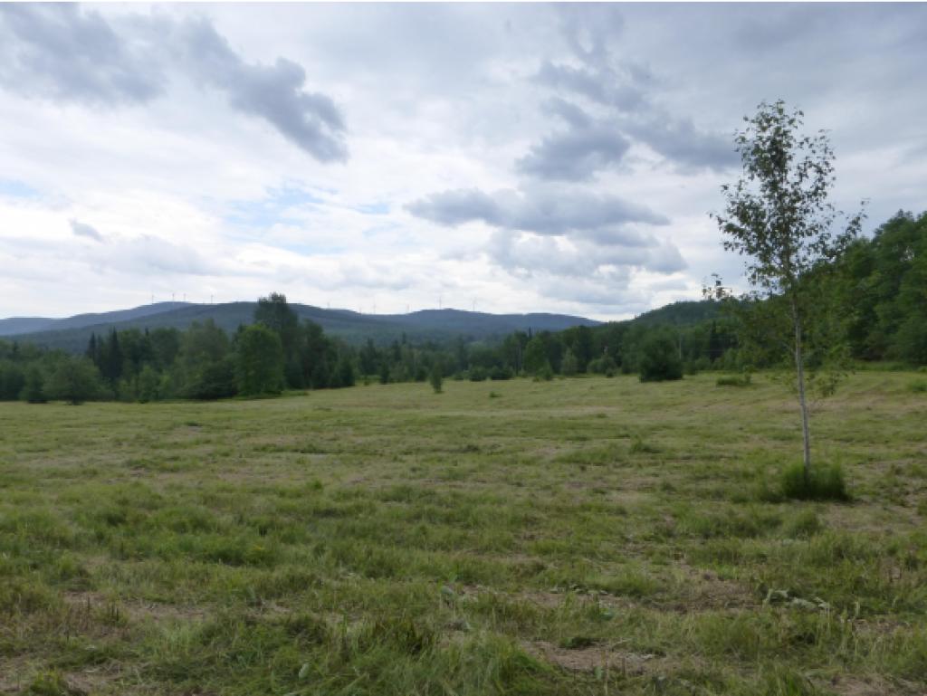 2949 Duck Pond Road Barton, VT 05822 - Photo 6 of 12