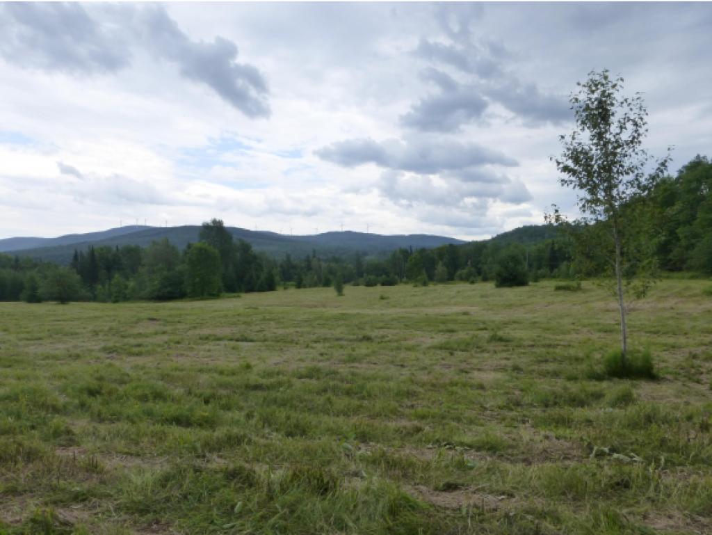 2949 Duck Pond Road Barton, VT 05822 - Photo 7 of 12