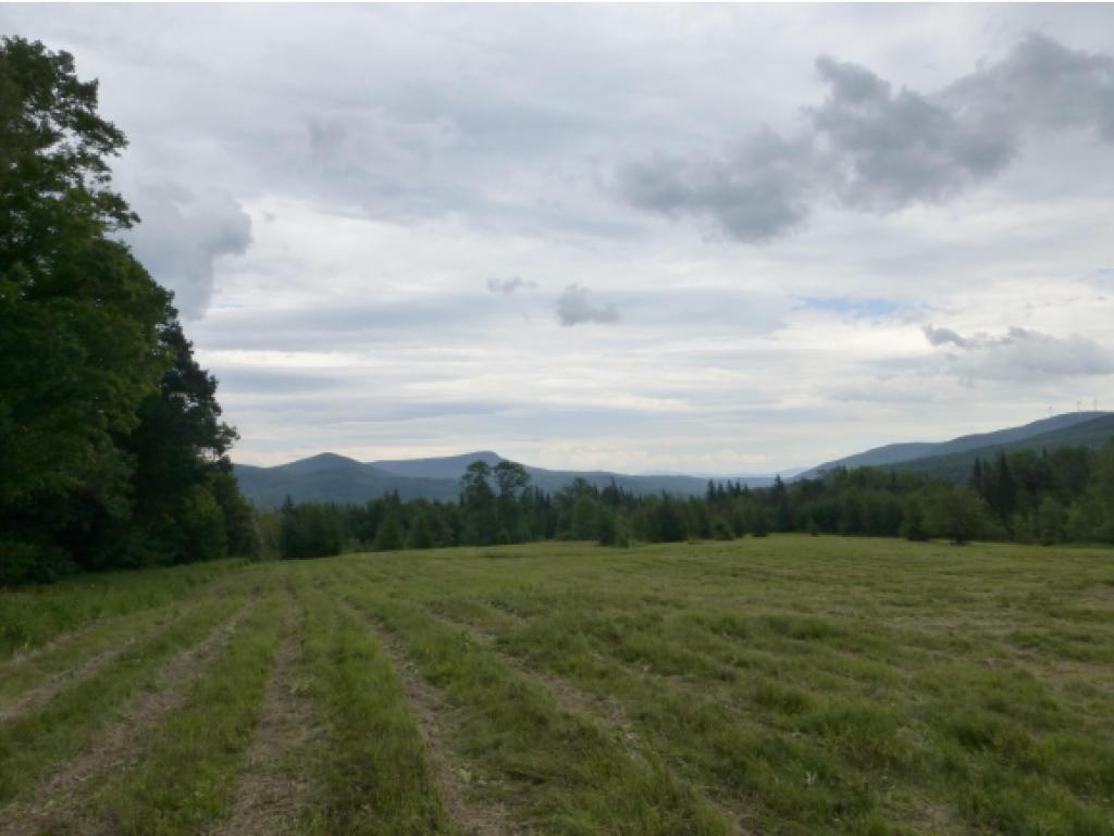 2949 Duck Pond Road Barton, VT 05822 - Photo 9 of 12