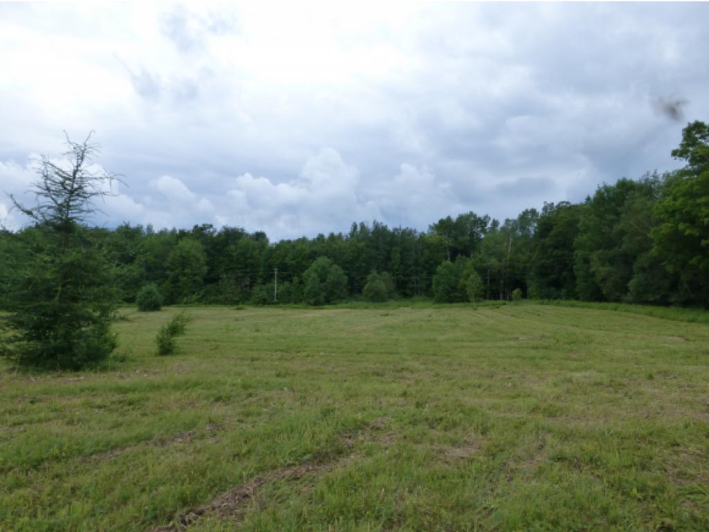 2949 Duck Pond Road Barton, VT 05822 - Photo 10 of 12