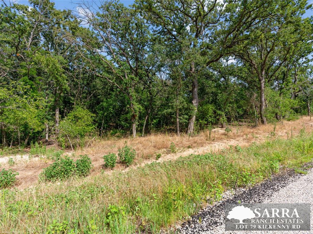 Lot 79 Kilkenney Road Poolville, TX 76487 - Photo 4 of 11