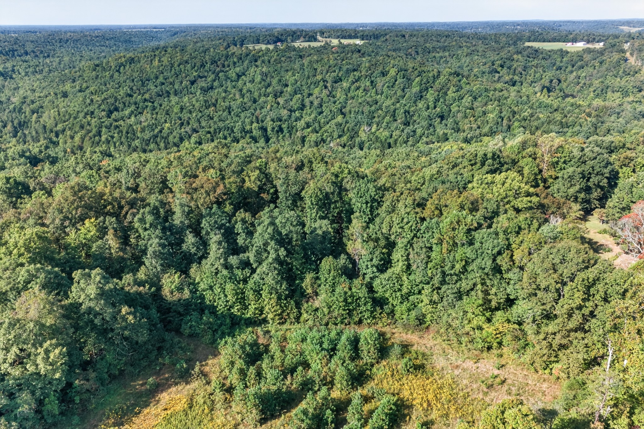 1475 Campground Road Clarkrange, TN 38553 - Photo 11 of 31 Gallery Image 11