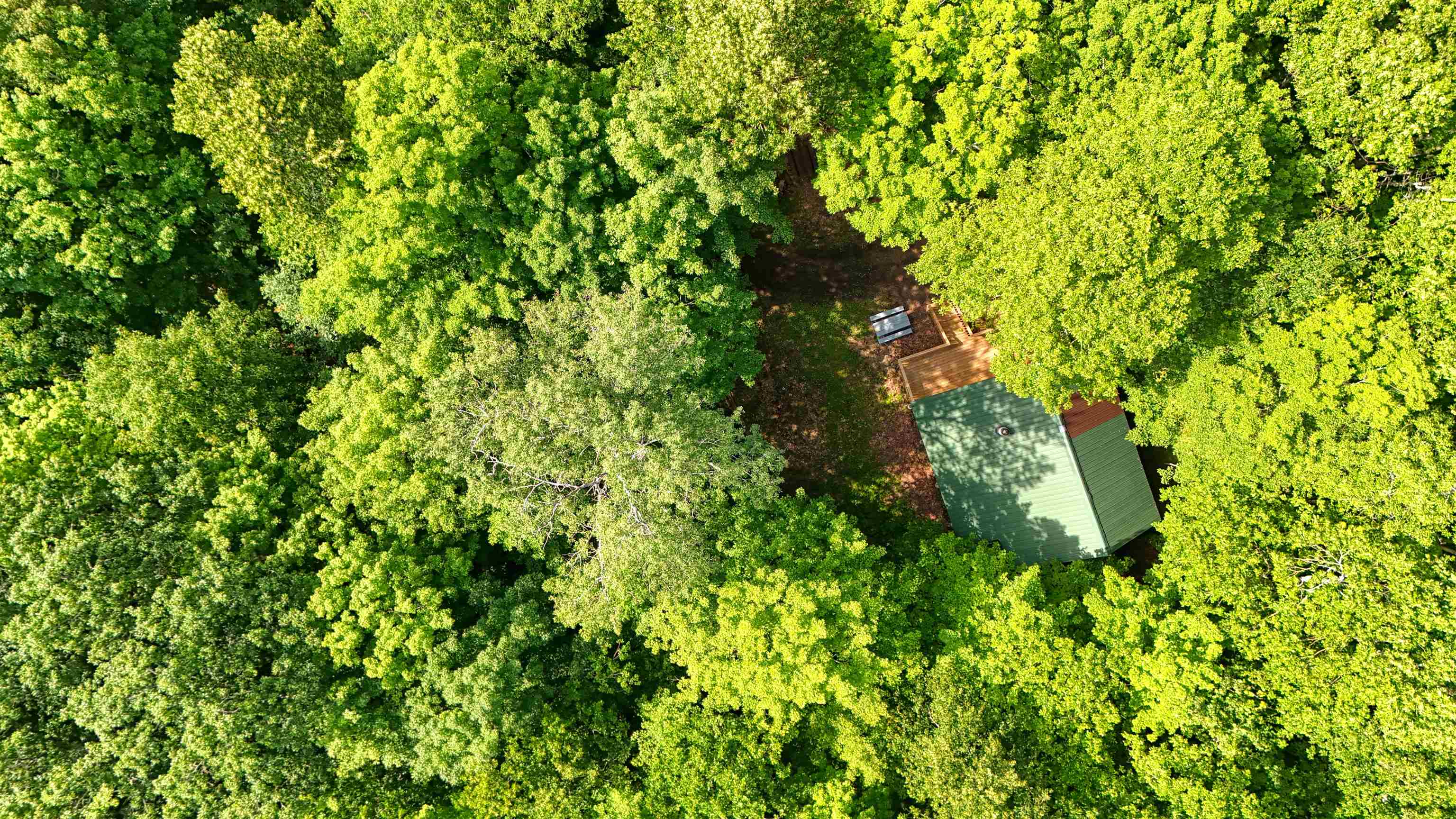 6676 Golf Course Road Winter, WI 54896 - Photo 49 of 51 View of subject property