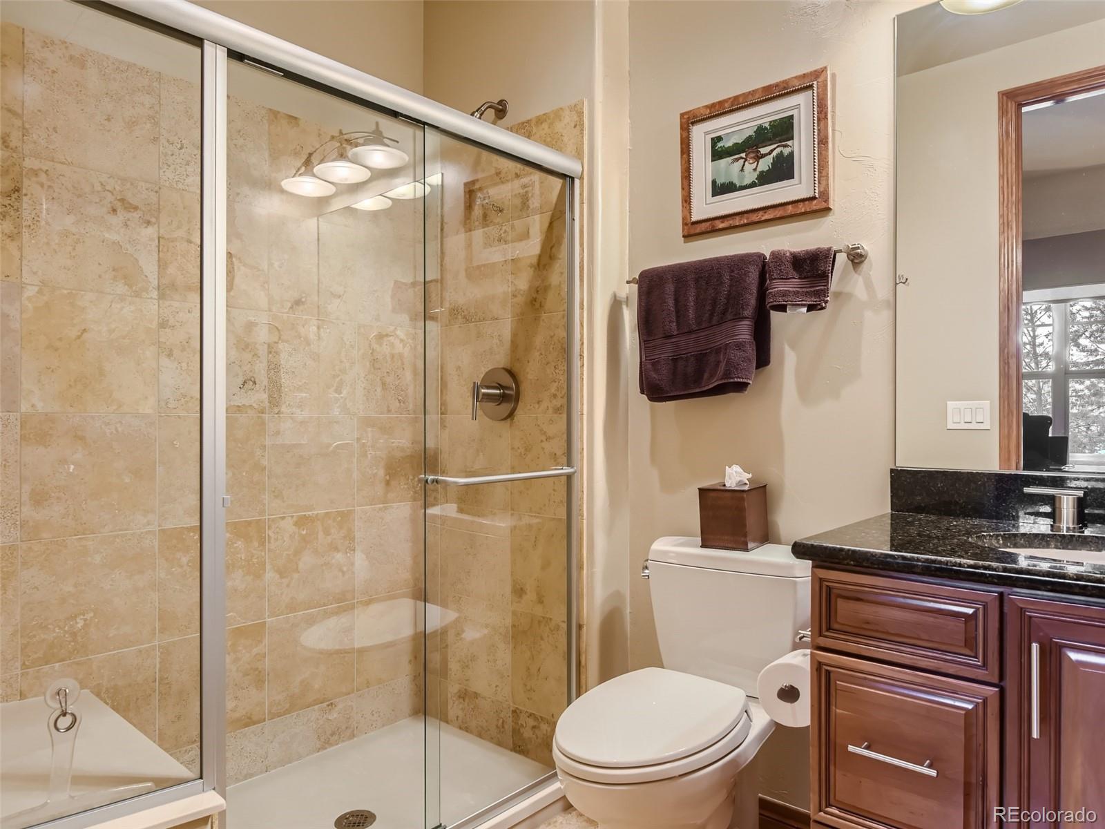 4308 Chateau Ridge Road Castle Rock, CO 80108 - Photo 33 of 41