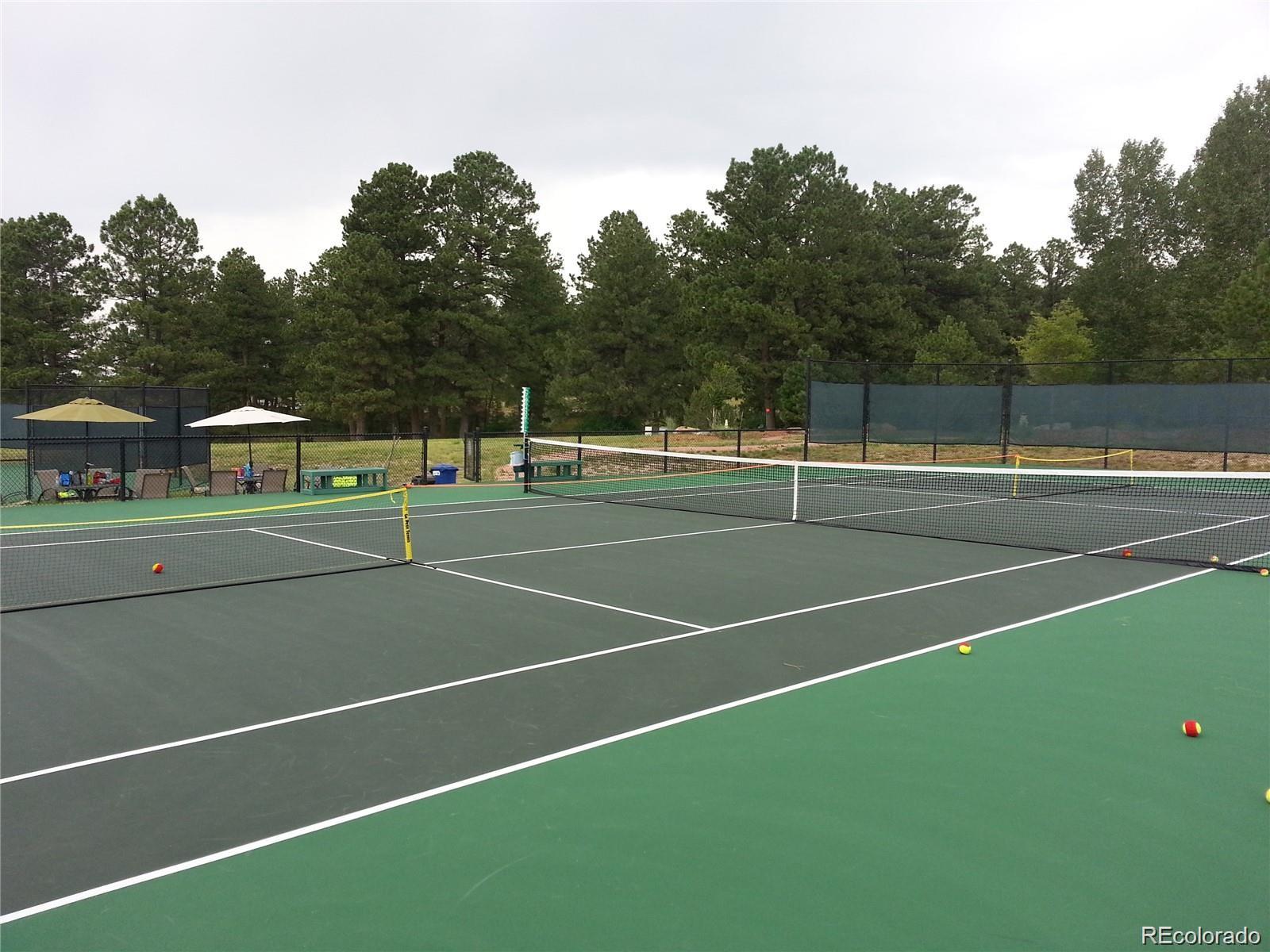 4308 Chateau Ridge Road Castle Rock, CO 80108 - Photo 41 of 41