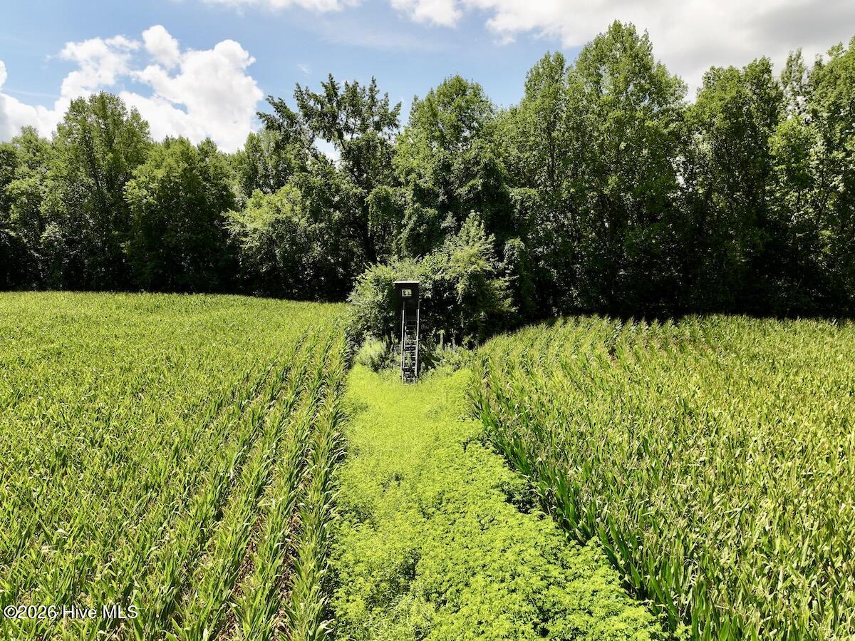 Lot 3 Mobley Road Lucama, NC 27851 - Photo 20 of 34 20