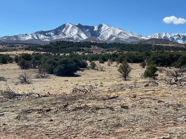 3 B Majors Ranch Road Walsenburg, CO 81089 - Photo 1 of 54